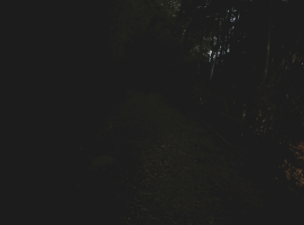 普通に撮影した場合