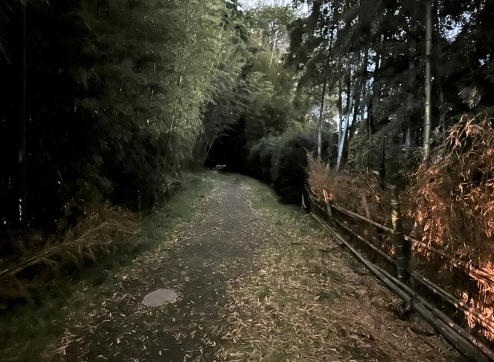 ナイトモードで撮影