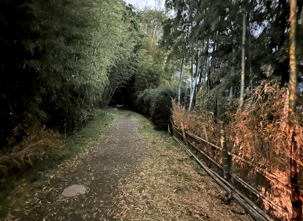 ナイトモード10秒