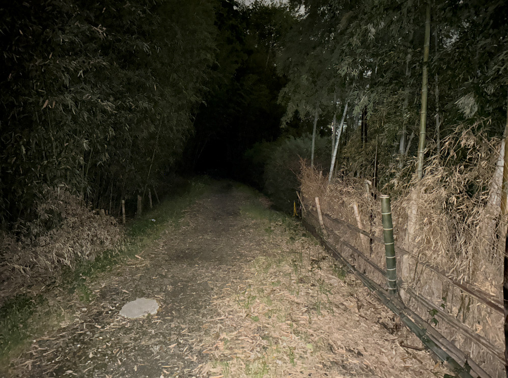 フラッシュをたいた場合