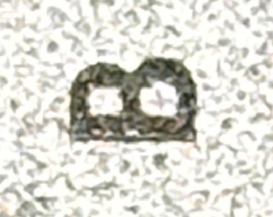 3倍レンズで撮影したものを拡大