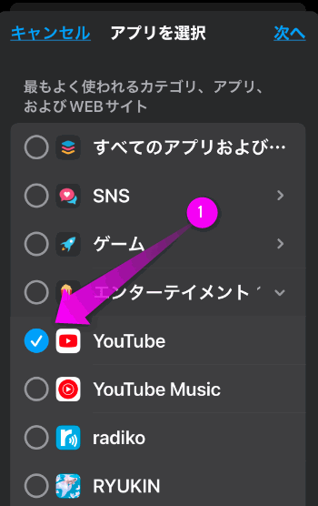 YouTubeにチェックを入れる